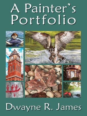 cover image of A Painter's Portfolio